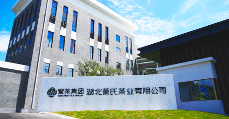 萧氏茶业