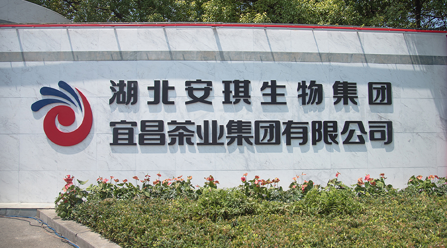 企业愿景