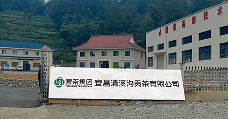 清溪沟茶业