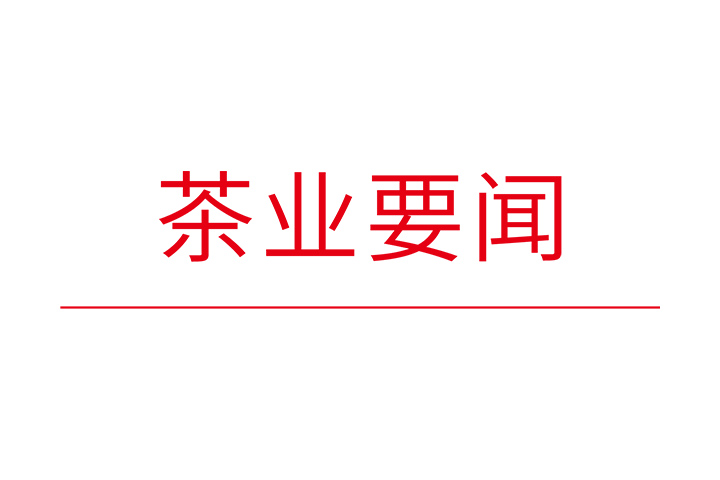 湖北省政协主席、省茶产业链链长孙伟到采花茶业调研