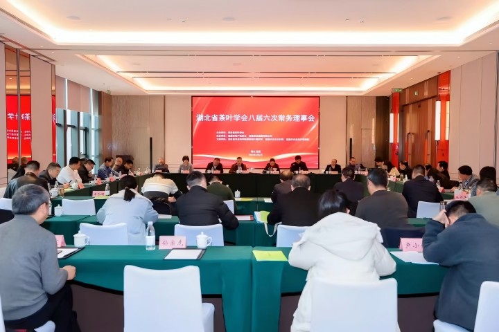 1--720-1 会议场景.jpg